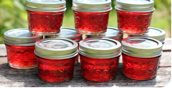 Blue Ribbon Scratch Biscuit and Freezer Jam