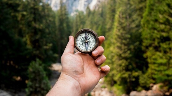 Map & Compass
